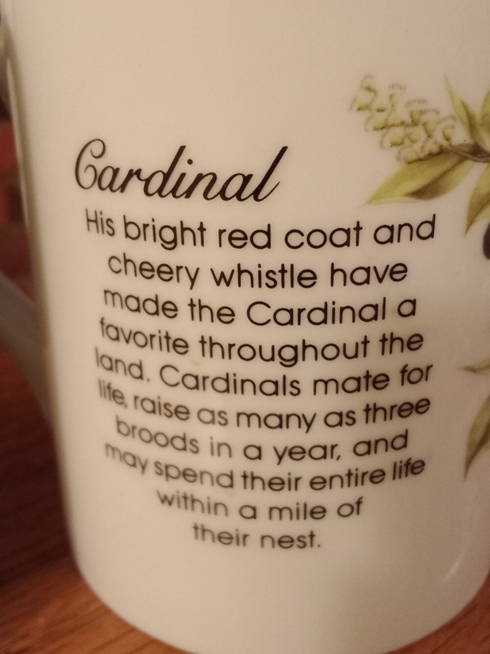 Cardinal Mugs/2 - Picture 7 of 9